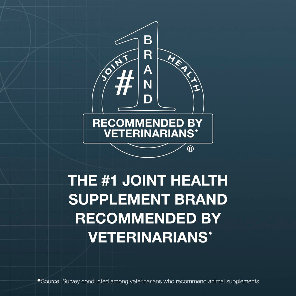 Joint Supplement Chew Tablets 84ct C1132