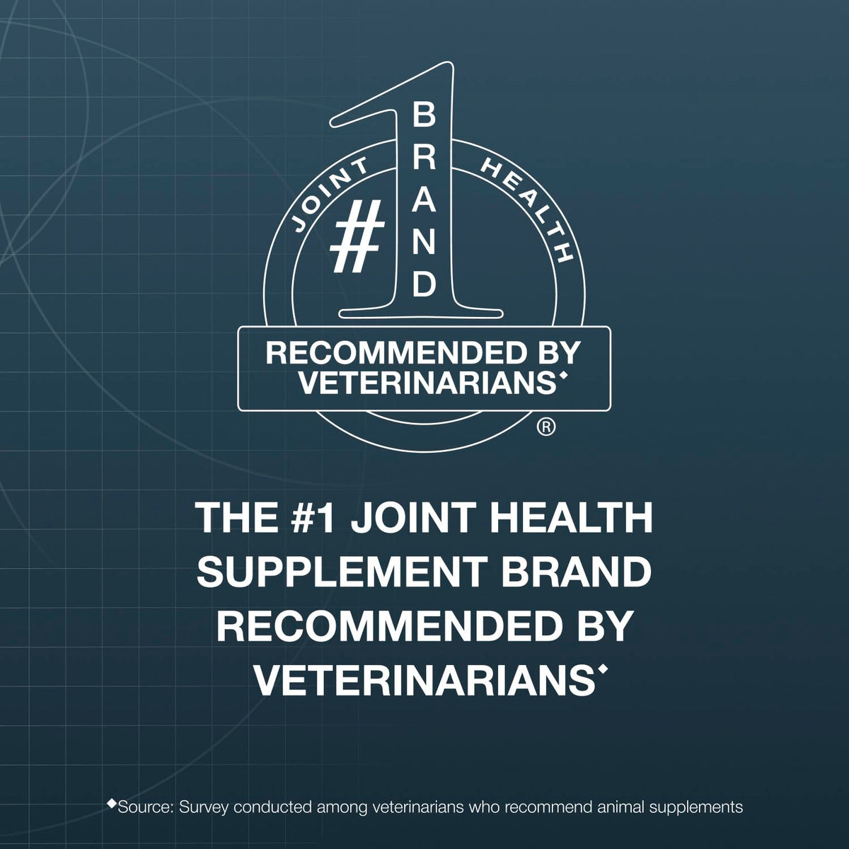 Joint Supplement Chew Tablets 84ct C1132