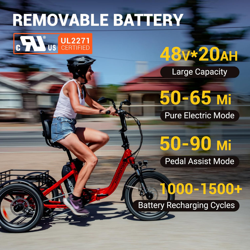 Folding Electric Tricycle 750W 48V 20Ah UL2849 W13984