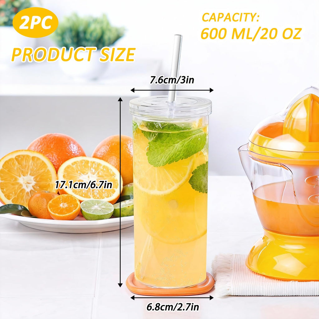 20oz Drinking Jars with Lids and Straws 2 Pack Clear Reusable L340040