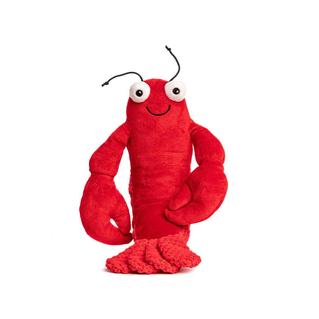 Plush Squeaky Dog Toy R834