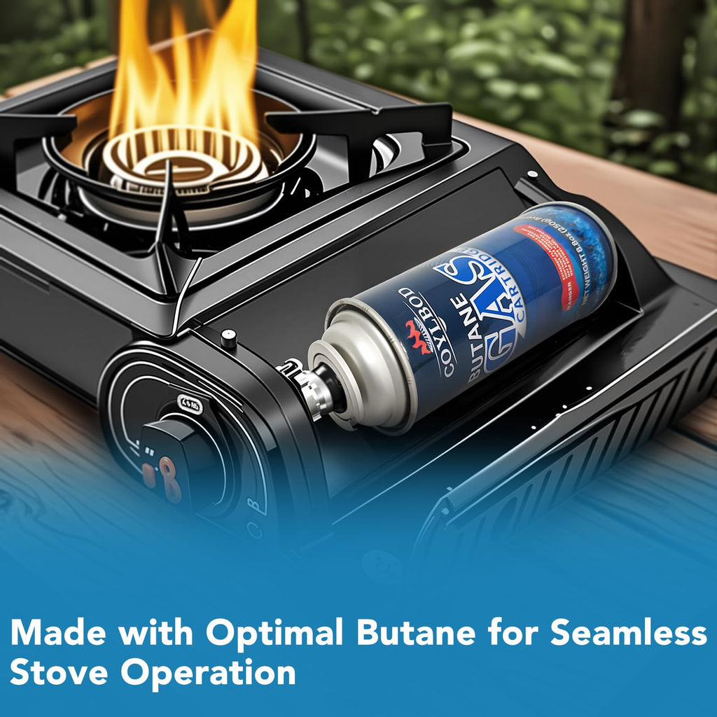 Butane Fuel Canister D12352