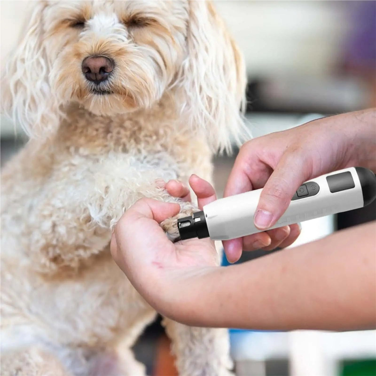 Silent Electric USB Rechargeable Pet Nail Grinder G27322
