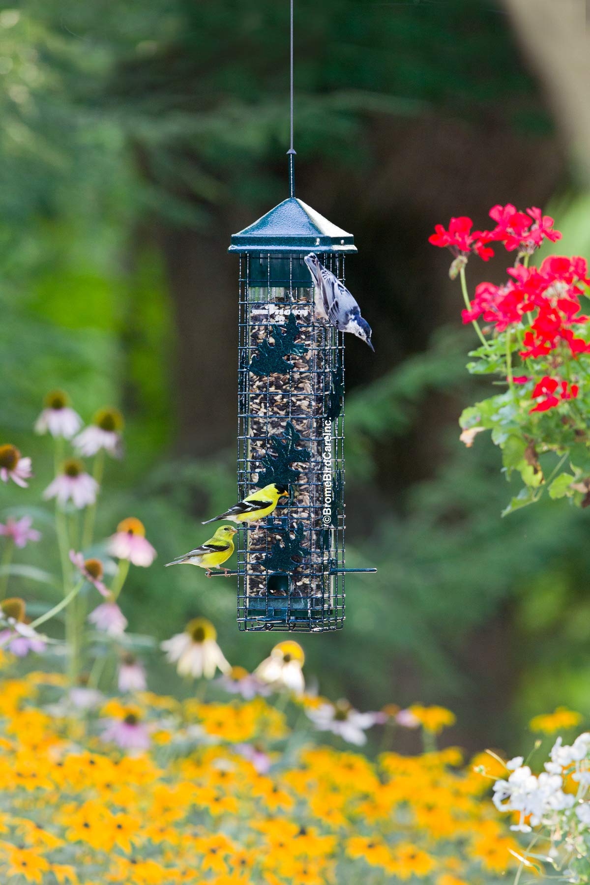 Squirrel-proof Bird Feeder with 6 Feeding Ports, 3.4-pound Seed Capacity B68628