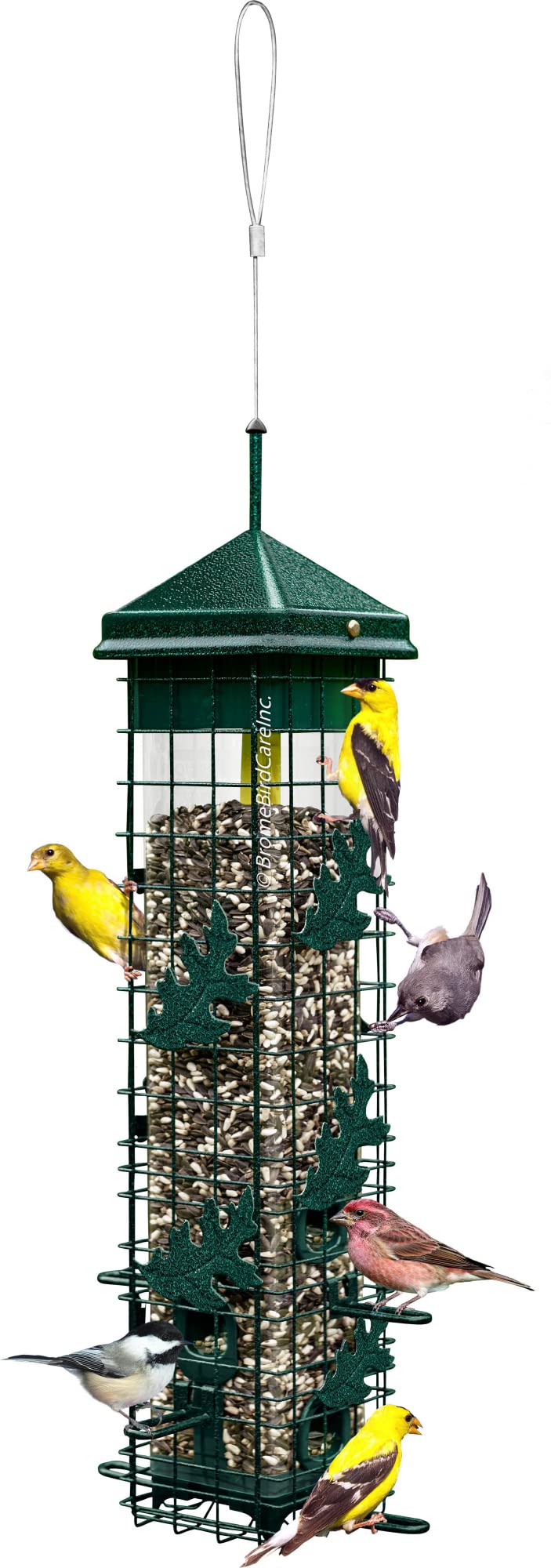 Squirrel-proof Bird Feeder with 6 Feeding Ports, 3.4-pound Seed Capacity B68628