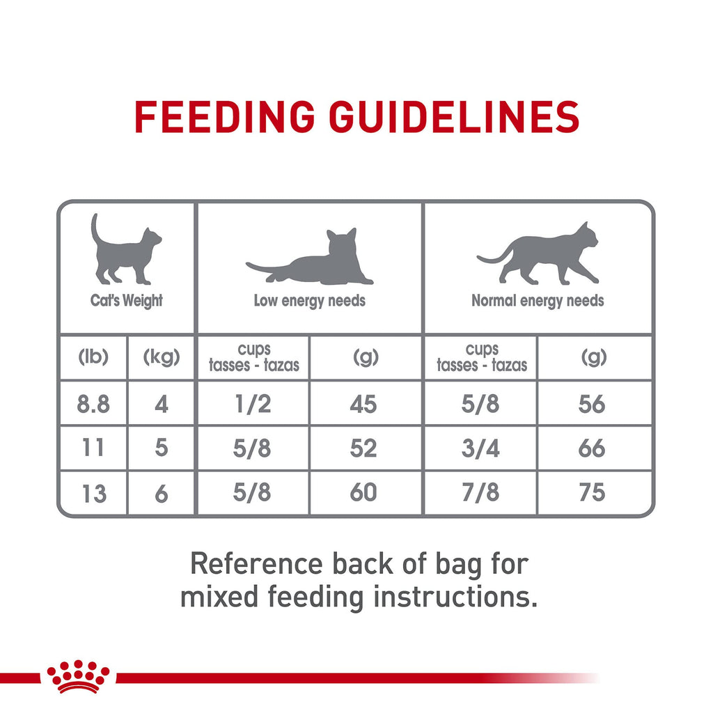 Adult Dry Cat Food 6 lb Bag A703012