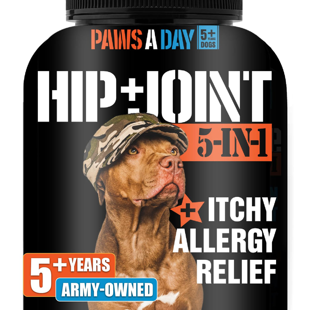 Glucosamine Hip & Joint Supplement 60 Chewable Tablet V904958