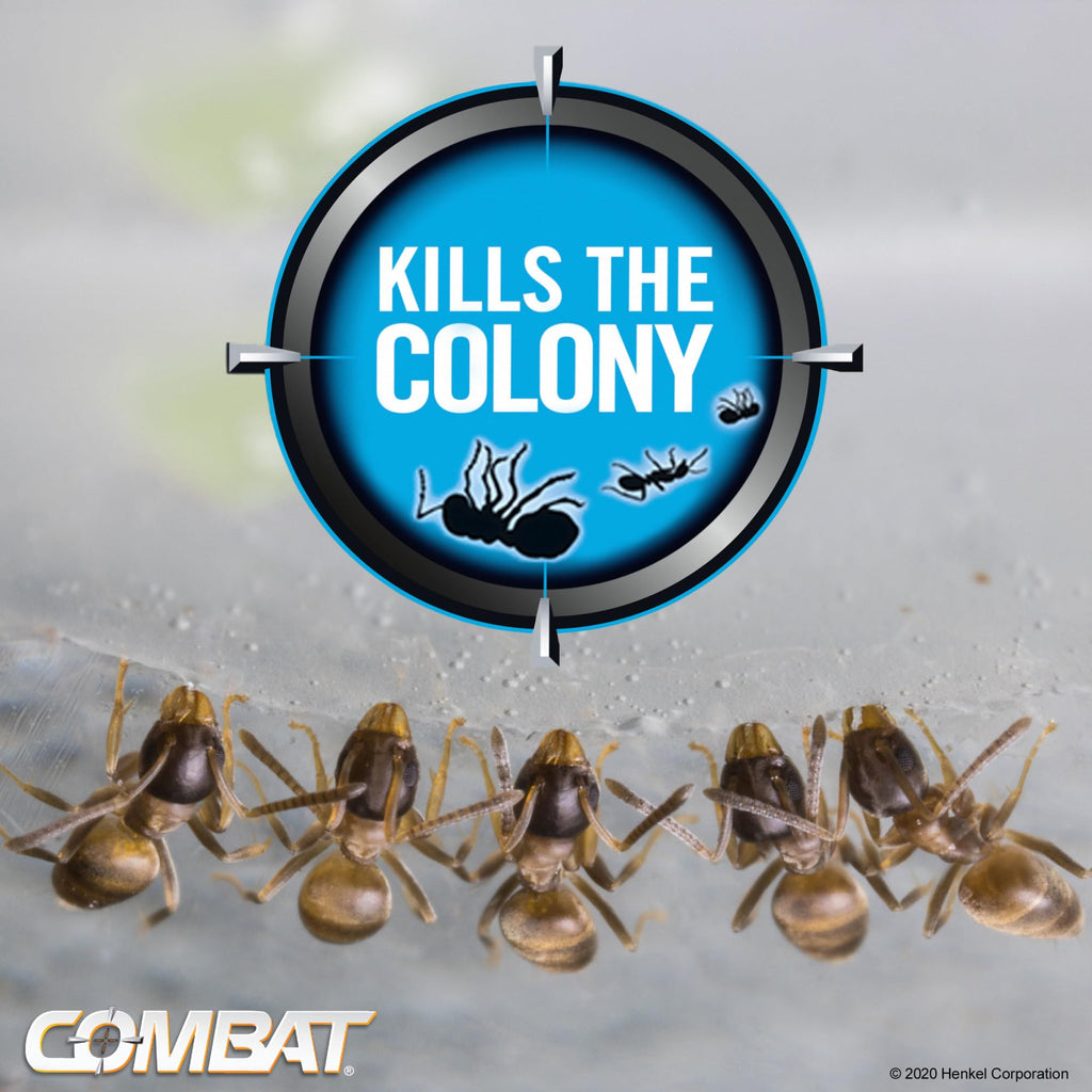 Combat Ant Killing Gel, 27 Gram B784