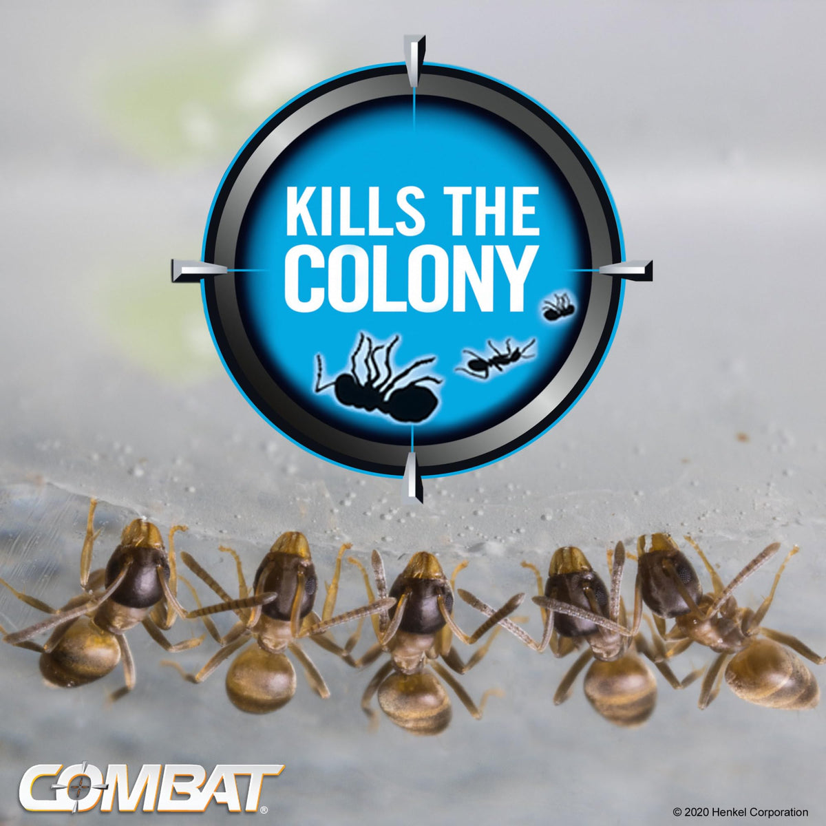 Combat Ant Killing Gel, 27 Gram B784