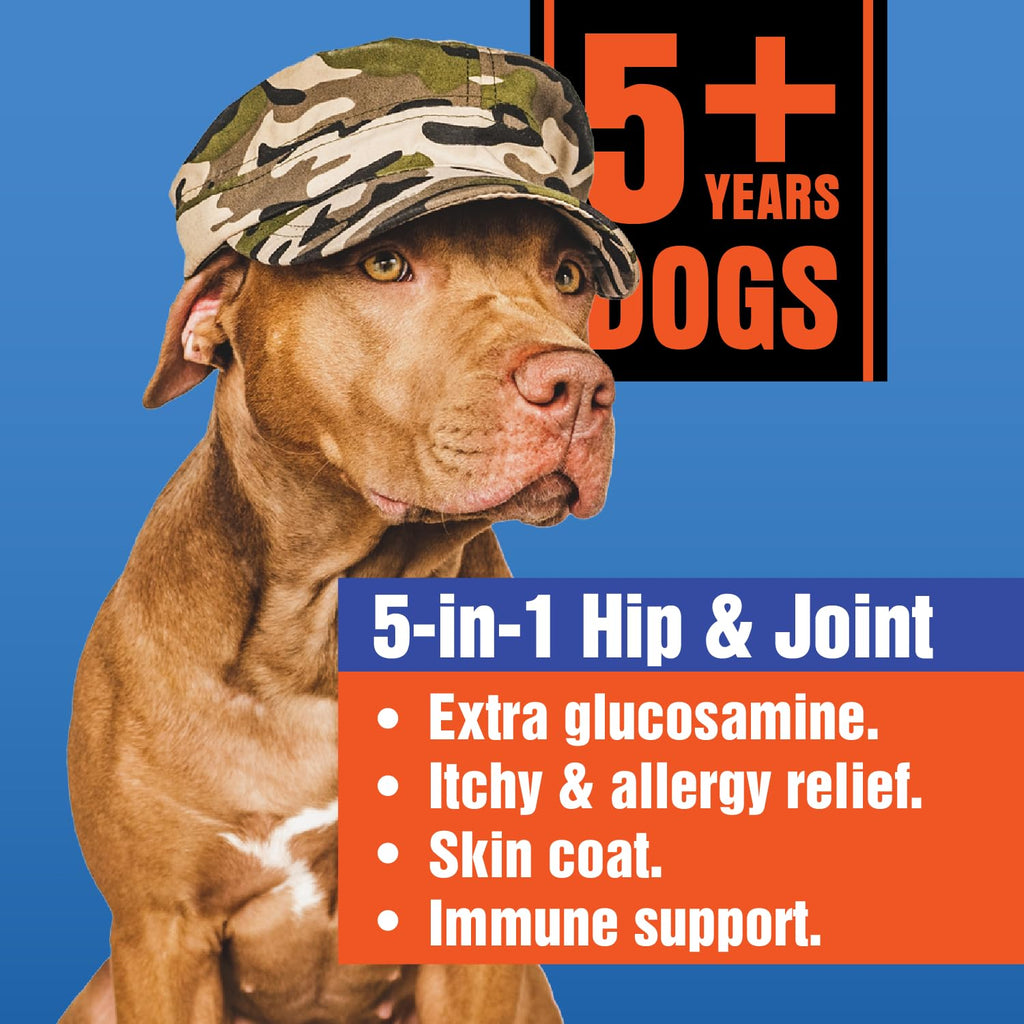 Glucosamine Hip & Joint Supplement 60 Chewable Tablet V904958