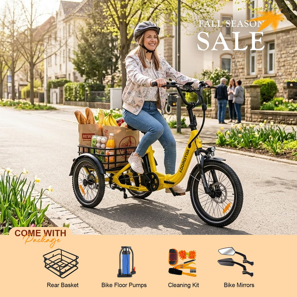 Folding Electric Tricycle 750W 48V 20Ah UL2849 W13984