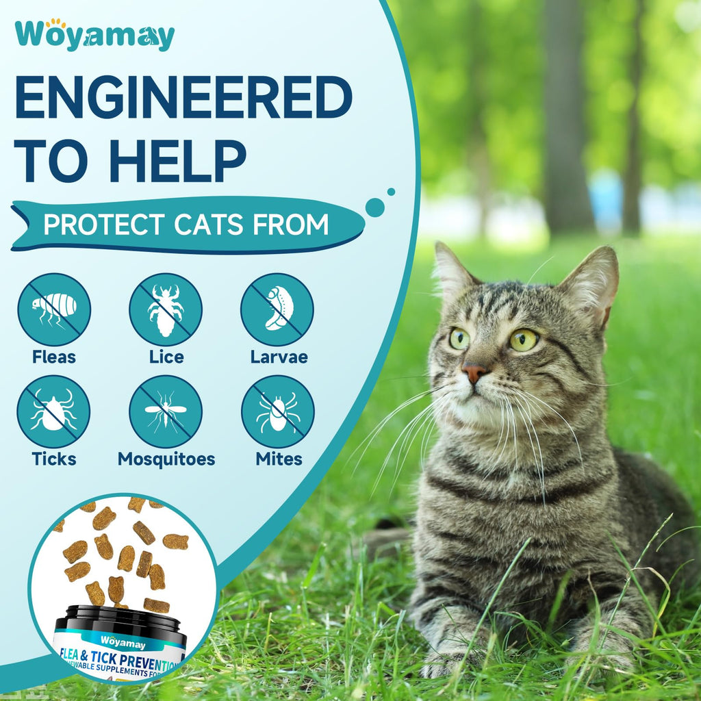 Natural Flea & Tick Prevention Bundle for Cats & Dogs, 200 Chews + Herbal Drops W7419