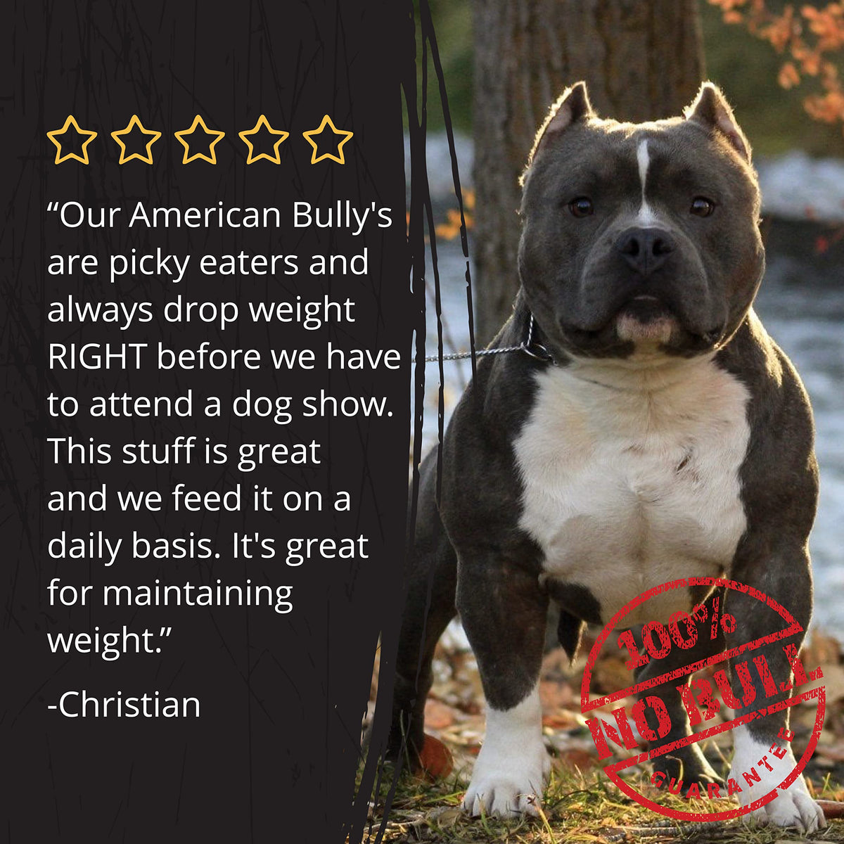 Large-Dog Bundle with 5-in-1 Dog-Food Topper and Weight Gainer D582915