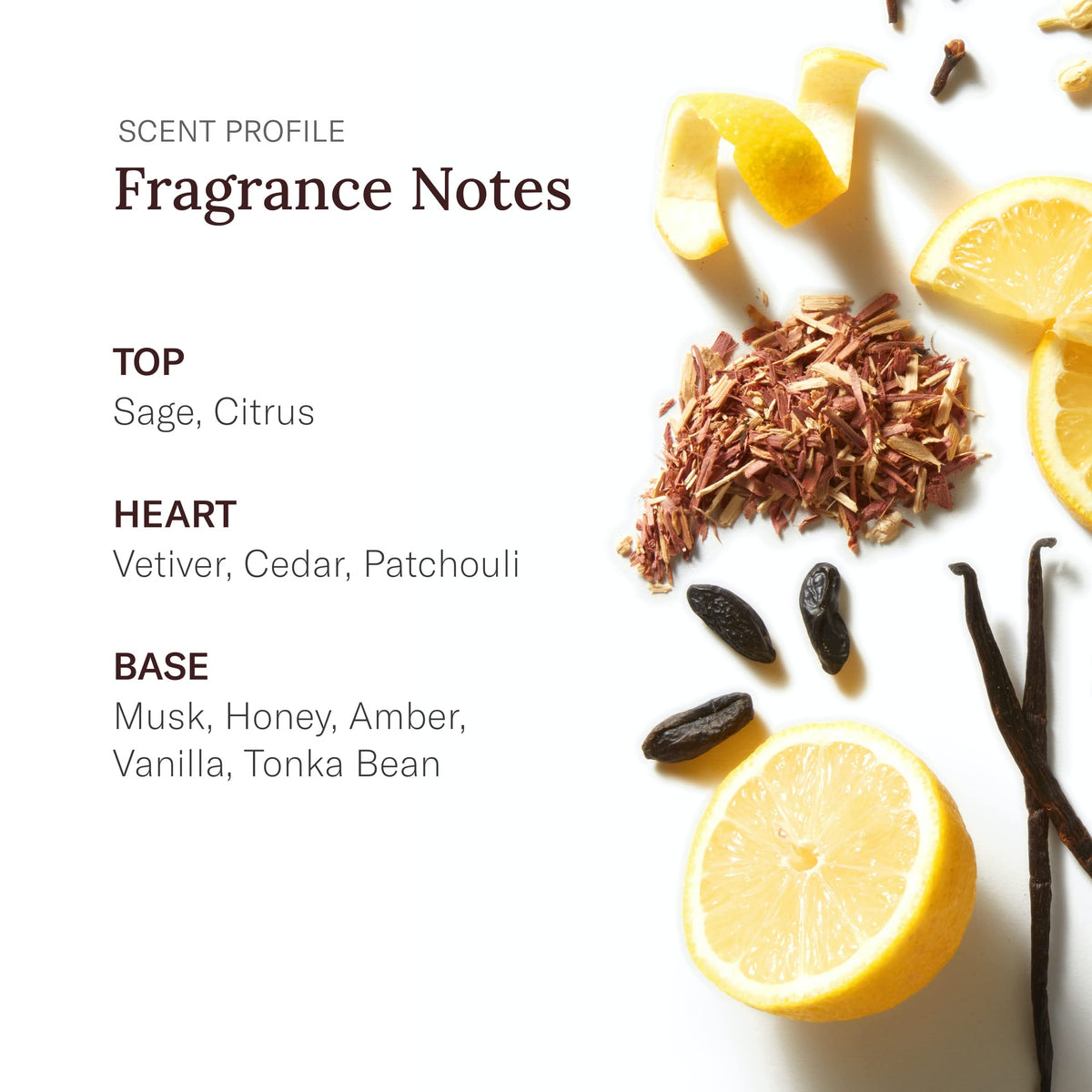1.5 Fl Oz Cologne I73327