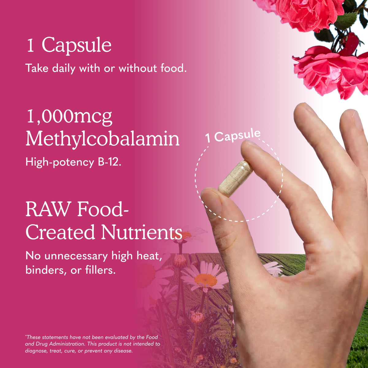 Vegan B-12 Methylcobalamin 30 Capsules X977061