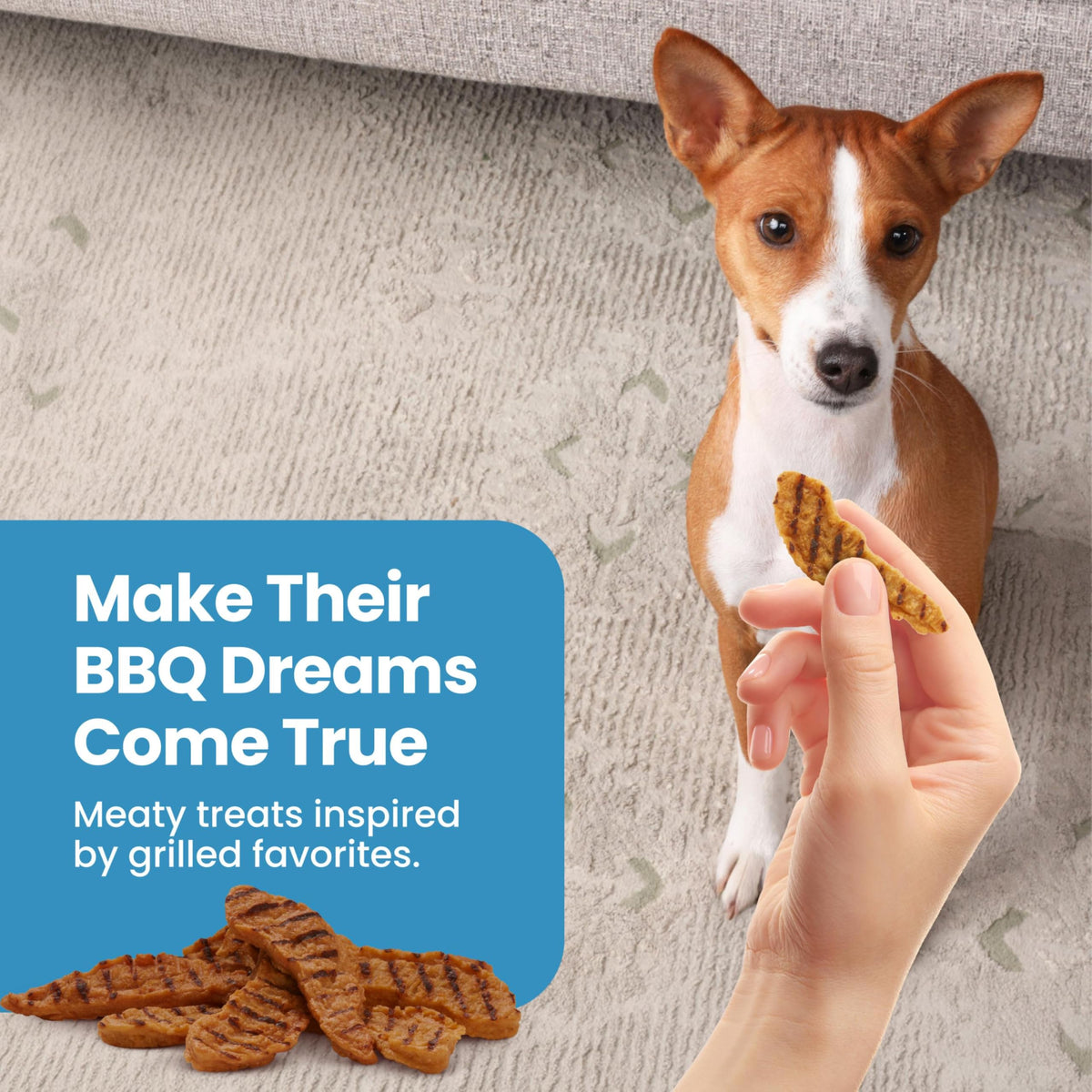 Chicken Dog Treats 16 oz S934