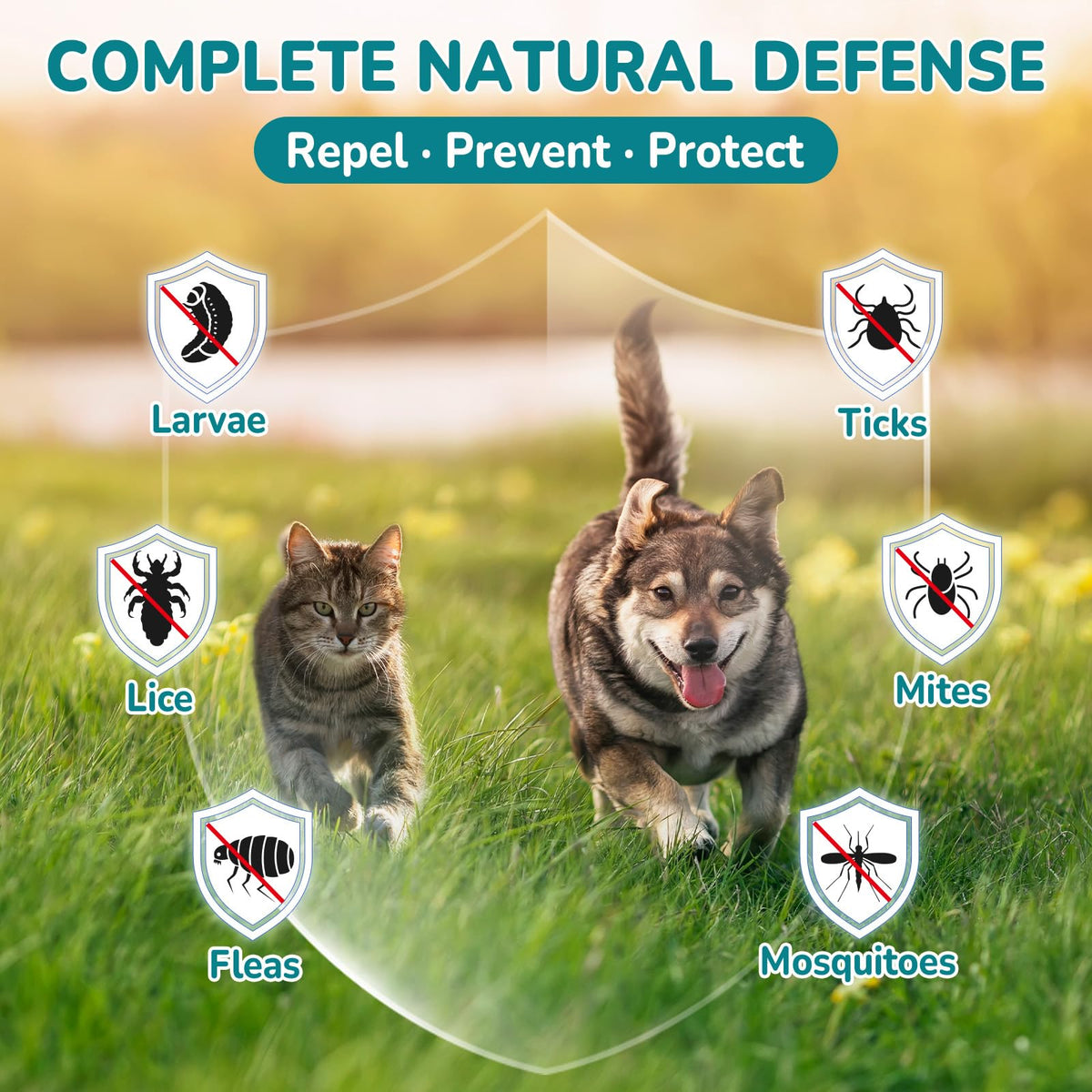 Natural Flea & Tick Prevention Bundle for Cats & Dogs, 200 Chews + Herbal Drops W7419