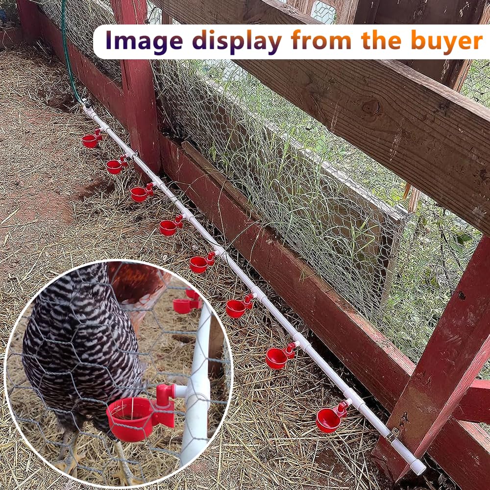 Automatic Chicken Watering System with PVC Pipe I332
