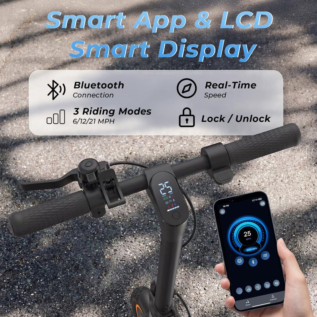 Electric Scooter D40134