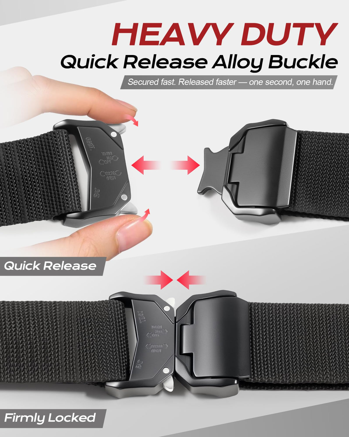 Padded Tool Belt with D Ring O2511