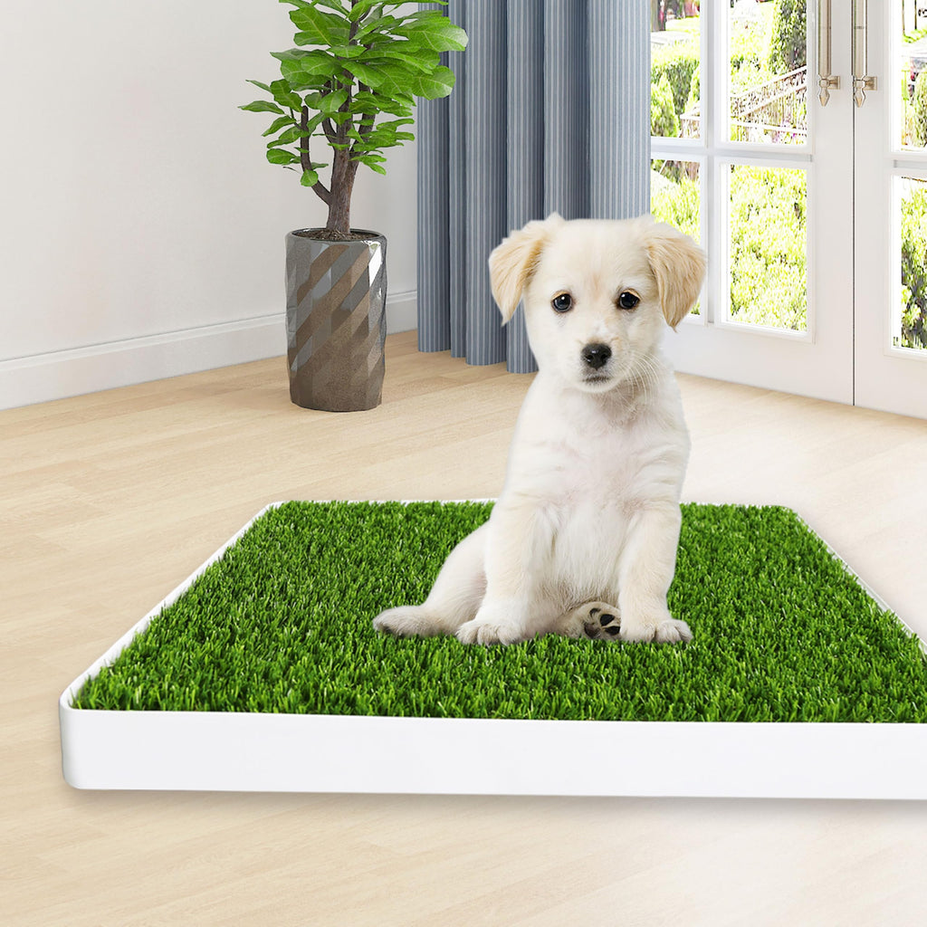 Indoor Fake Grass Pad with Tray W329179