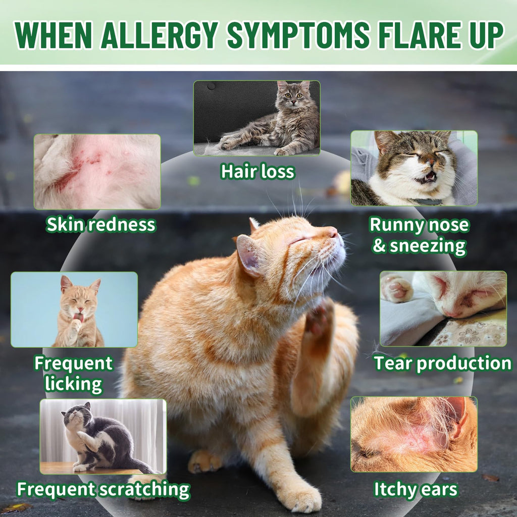 Cat Allergy & Hairball Relief Drops 60ml Q138