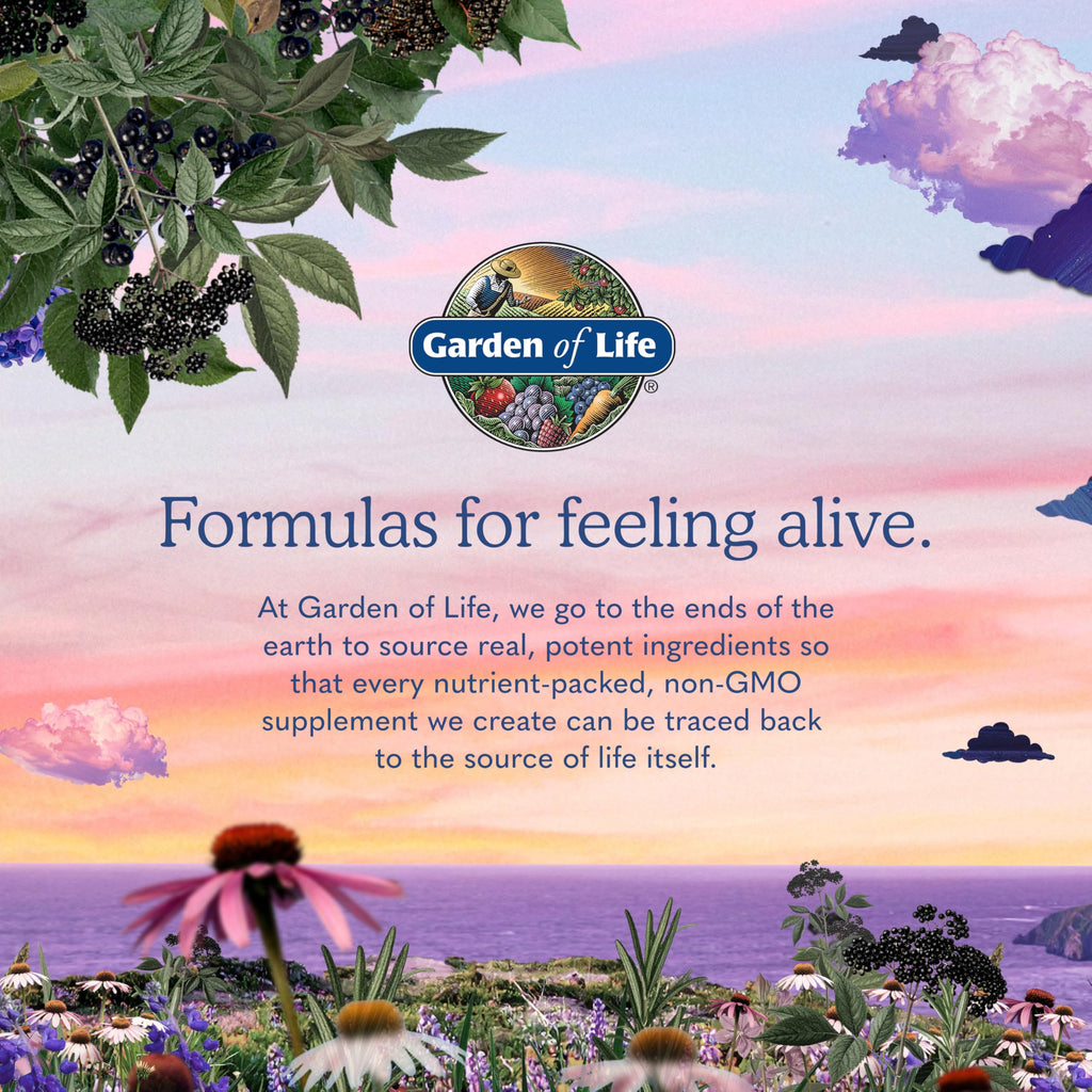 Vegan B-12 Methylcobalamin 30 Capsules X977061