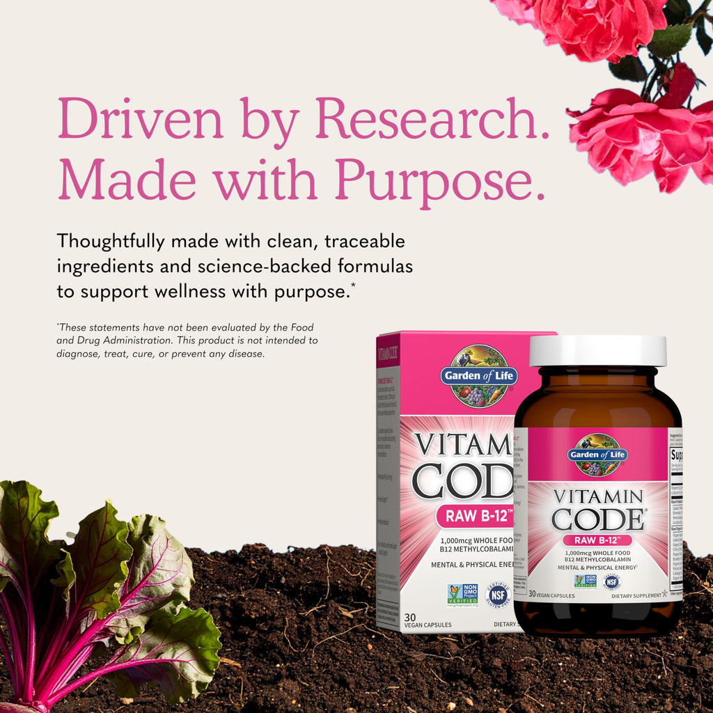 Vegan B-12 Methylcobalamin 30 Capsules X977061