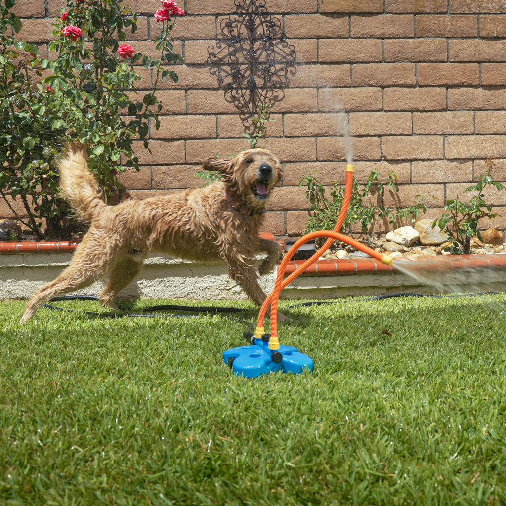 Interactive Water Toy for Dogs X51384